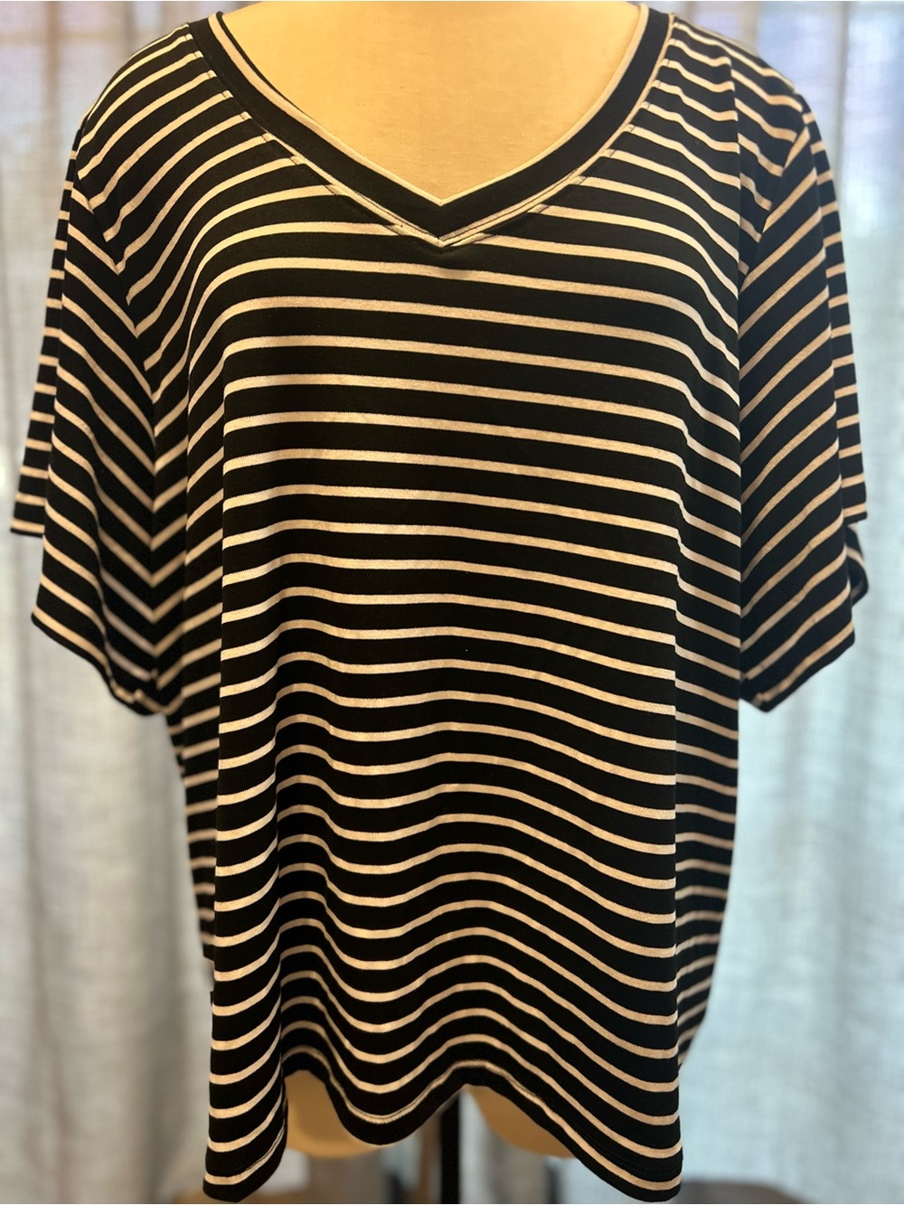 Striped V-Neck Short Sleeve Top in Black & White